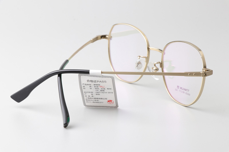 TT66608 Eyeglasses Gold