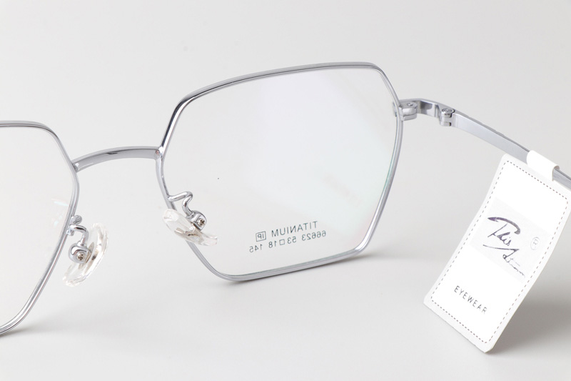 TT66623 Eyeglasses Black Silver