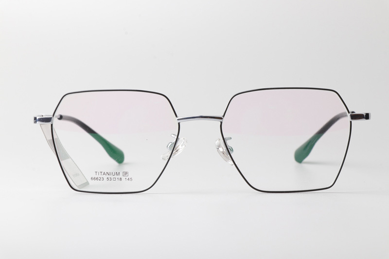 TT66623 Eyeglasses Black Silver