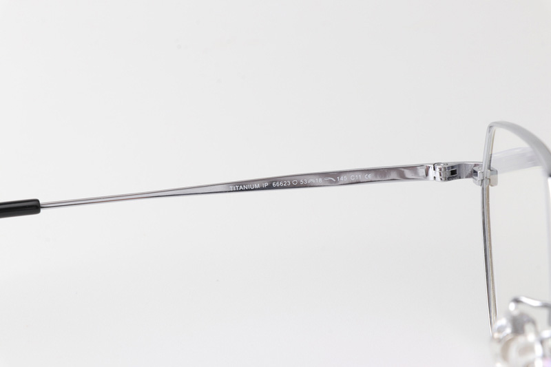 TT66623 Eyeglasses Black Silver