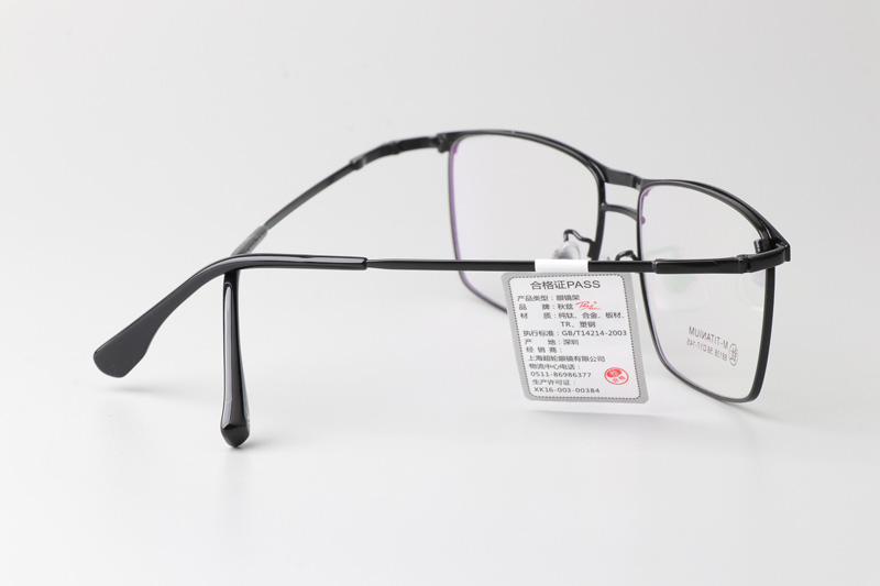 TT88138 Eyeglasses Black