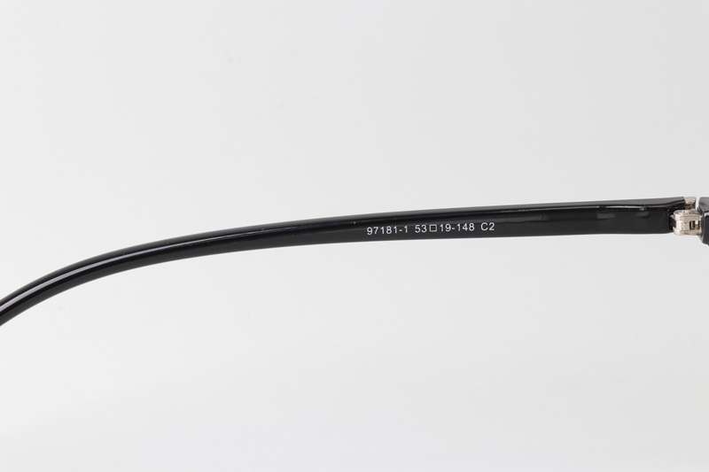 TT97181 Eyeglasses Black Silver