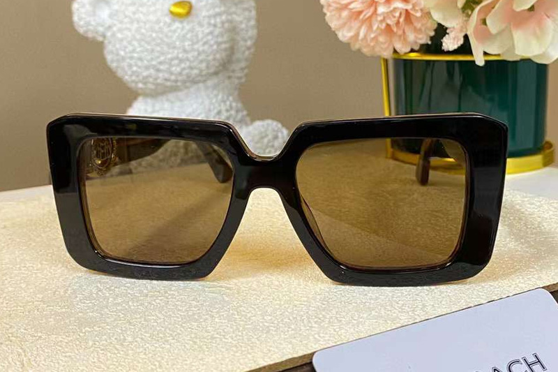 The Bae Sunglasses Black Brown Brown