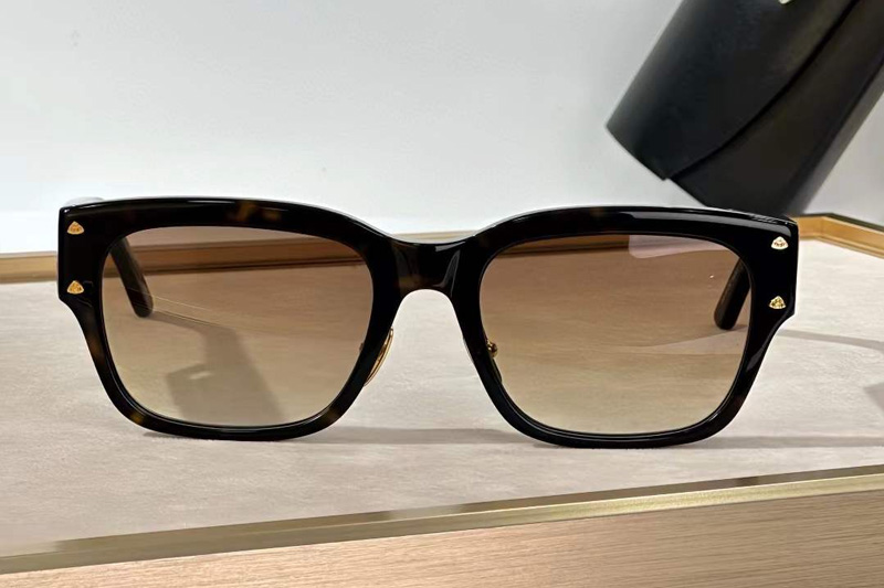 The Rebel II Sunglasses Tortoise Gradient Brown