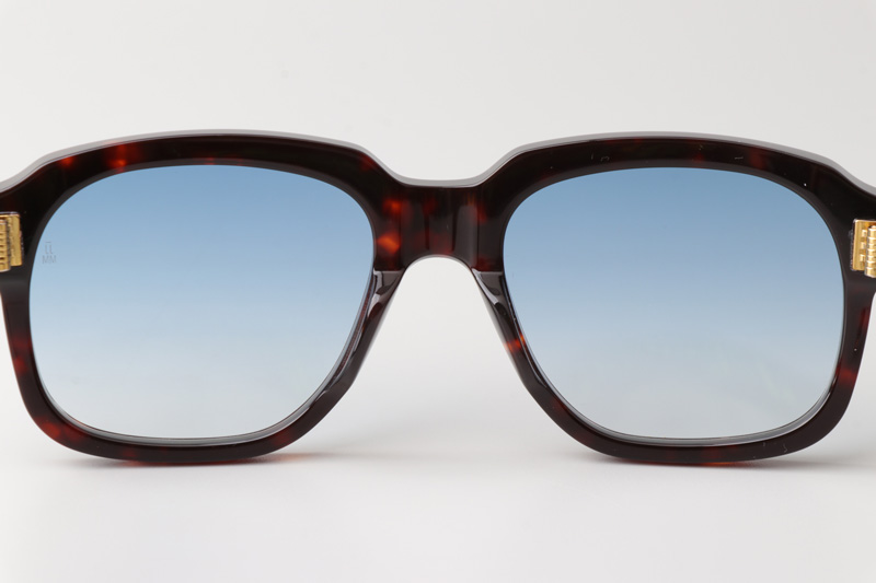 Union Sunglasses Tortoise Gradient Gray