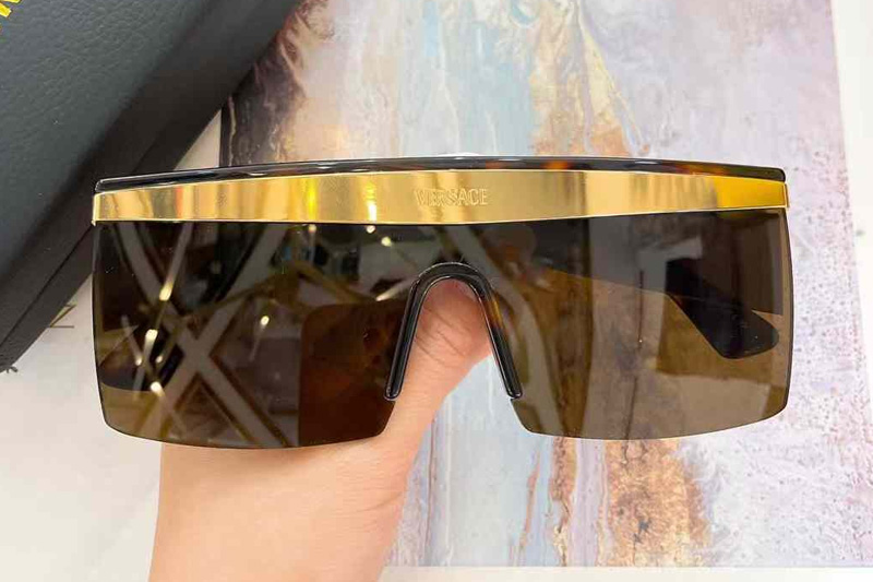 VE2254 Sunglasses Tortoise Gold Brown