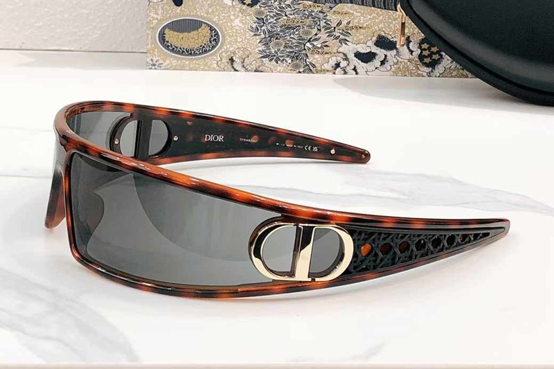 VeryDior M1U Sunglasses Tortoise Gray