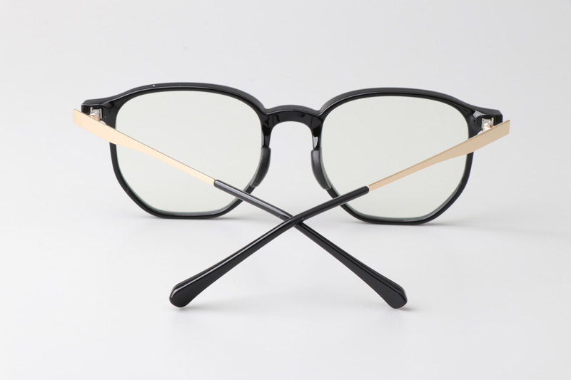 WT0222 Eyeglasses Black Gold
