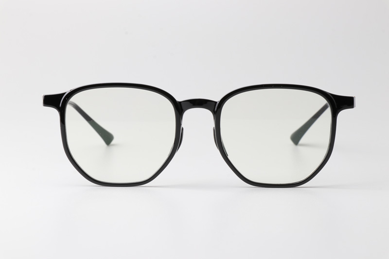 WT0222 Eyeglasses Black Gold