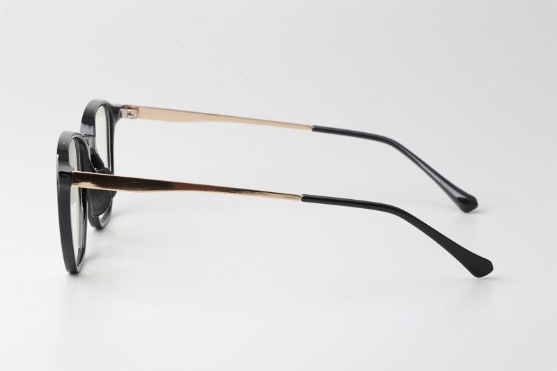 WT0222 Eyeglasses Black Gold
