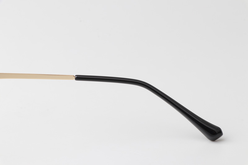 WT0222 Eyeglasses Black Gold