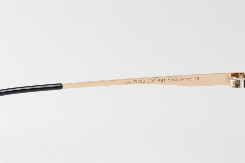 WT0222 Eyeglasses Black Gold