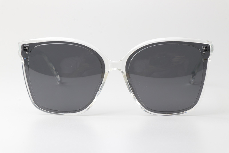 WT0326 Sunglasses Clear Gray