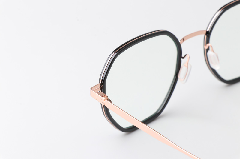 WT0821 Eyeglasses Black Rose Gold