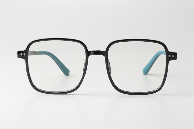 WT0864 Eyeglasses Black