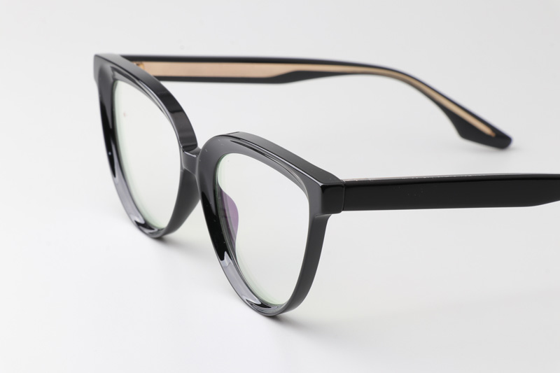 WT0905 Eyeglasses Black Gold