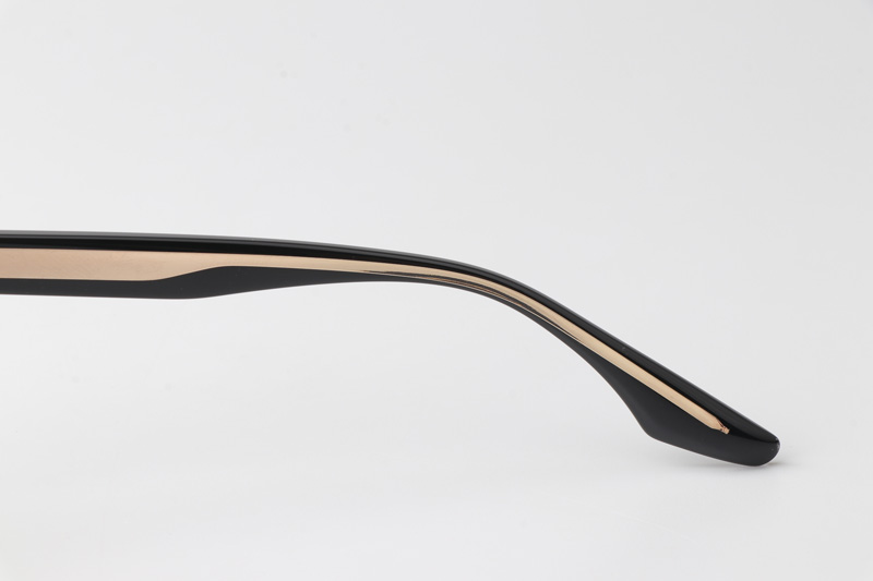 WT0905 Eyeglasses Black Gold