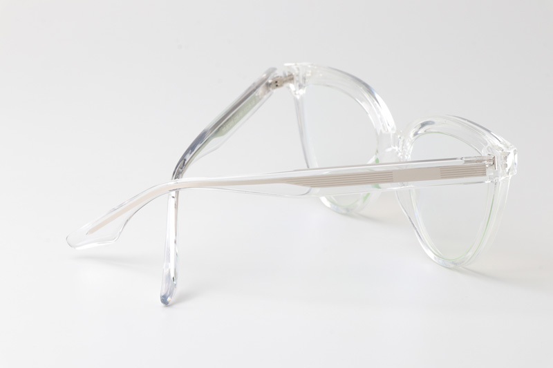WT0905 Eyeglasses Transparent Silver