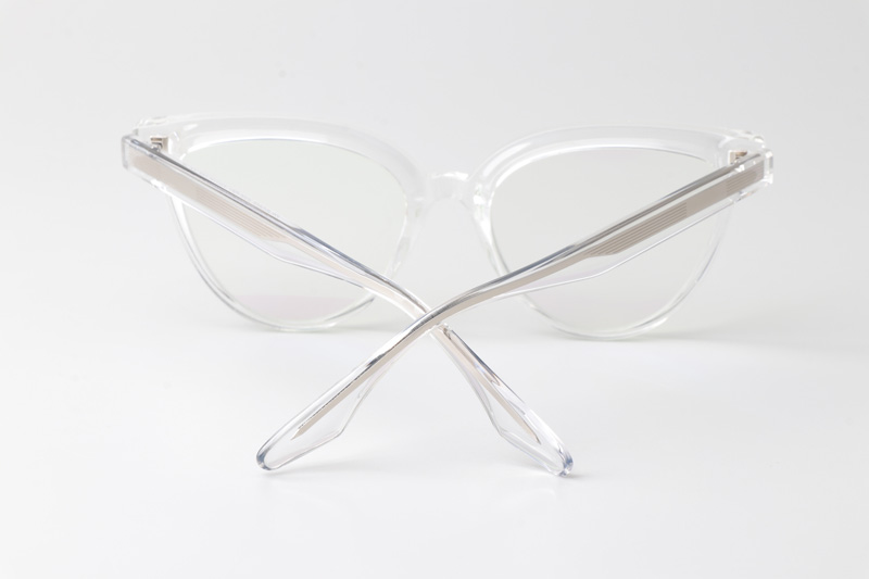 WT0905 Eyeglasses Transparent Silver