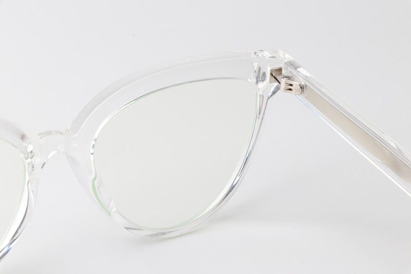 WT0905 Eyeglasses Transparent Silver