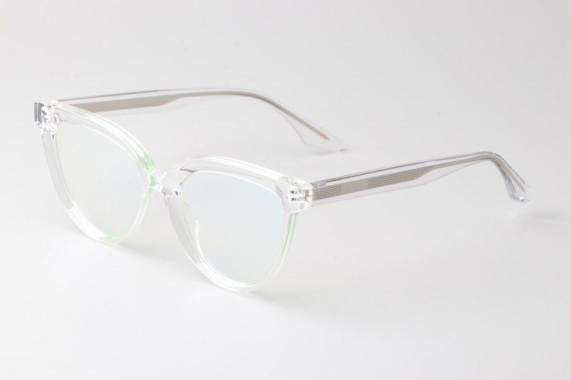 WT0905 Eyeglasses Transparent Silver