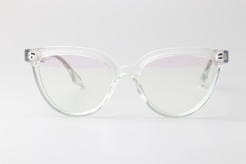 WT0905 Eyeglasses Transparent Silver