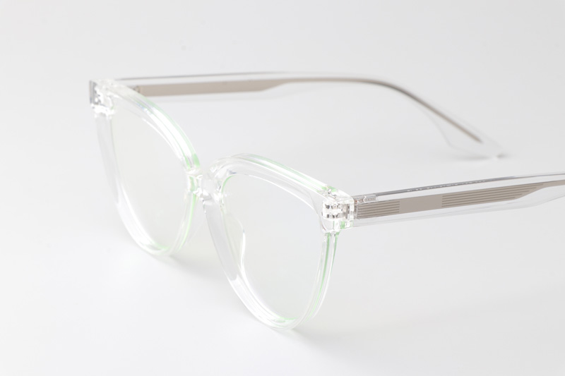 WT0905 Eyeglasses Transparent Silver