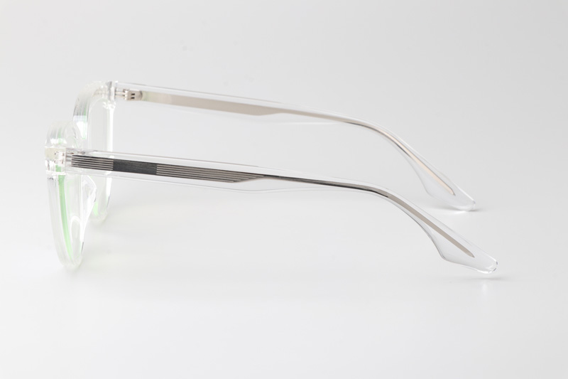 WT0905 Eyeglasses Transparent Silver