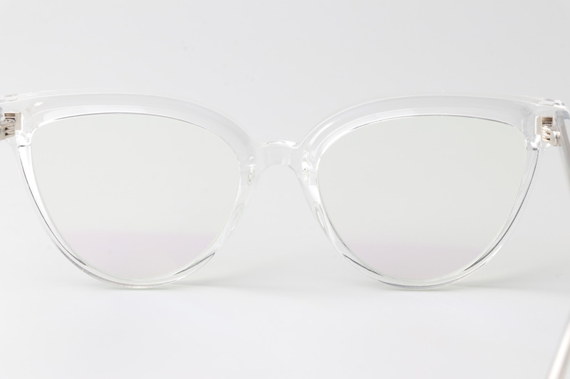 WT0905 Eyeglasses Transparent Silver