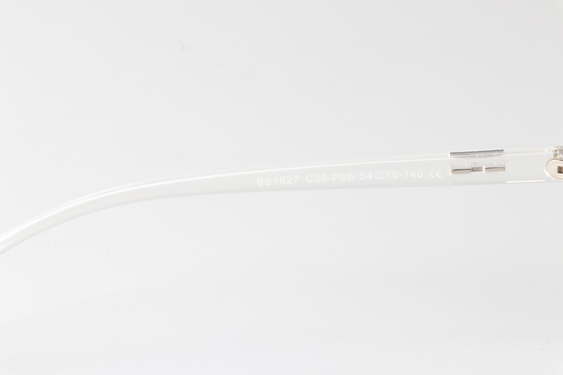 WT1827 Eyeglasses Transparent