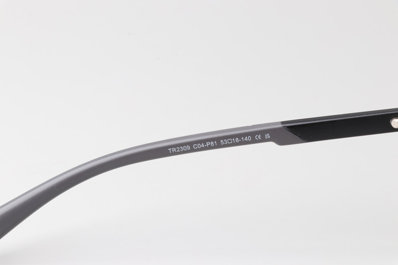 WT2309 Eyeglasses Matte Black