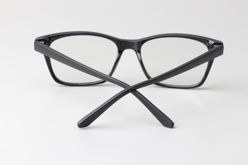 WT2313 Eyeglasses Black