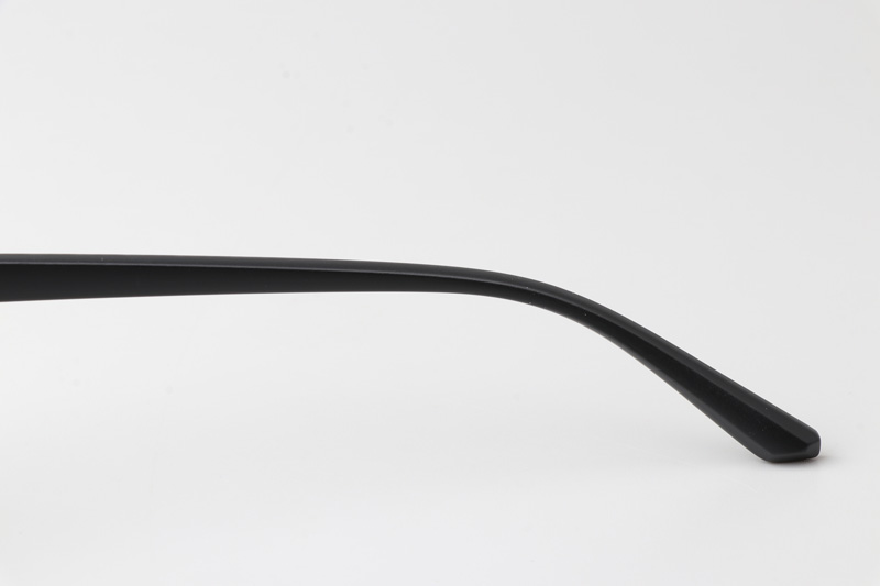 WT2313 Eyeglasses Black