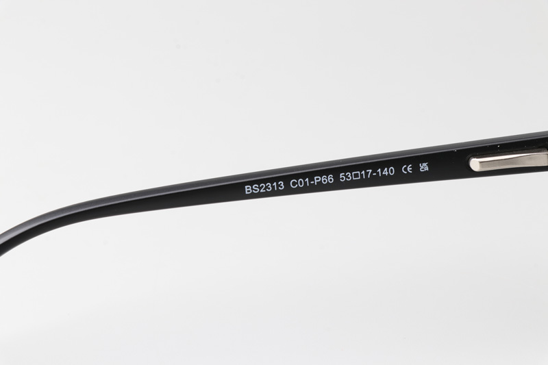 WT2313 Eyeglasses Black