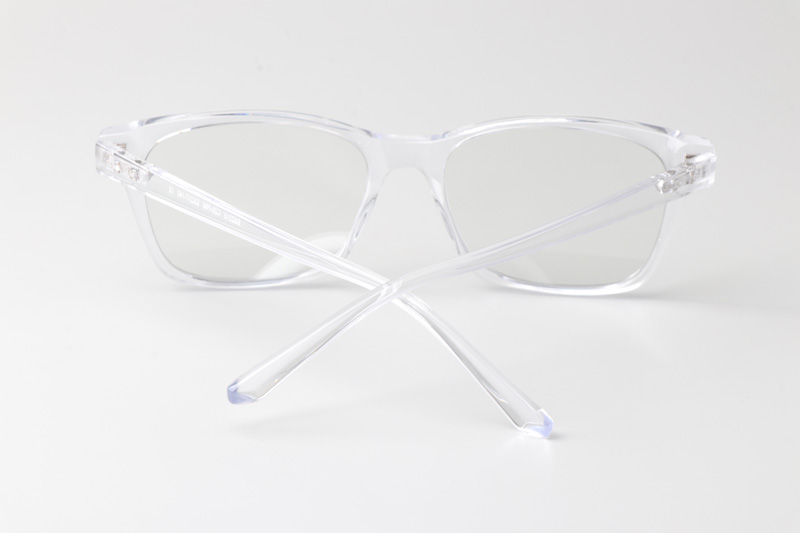 WT2313 Eyeglasses Transparent