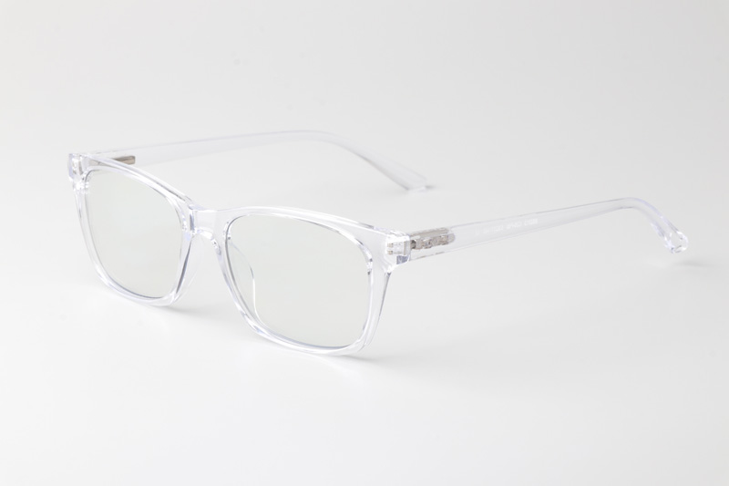 WT2313 Eyeglasses Transparent
