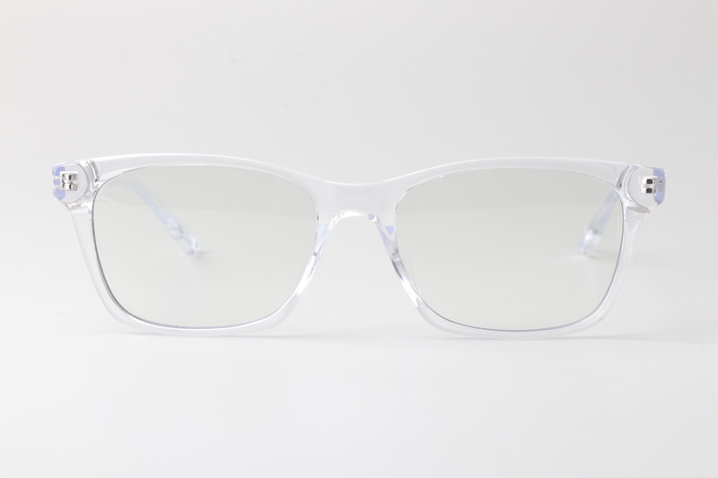WT2313 Eyeglasses Transparent