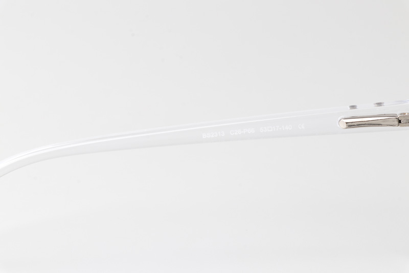 WT2313 Eyeglasses Transparent