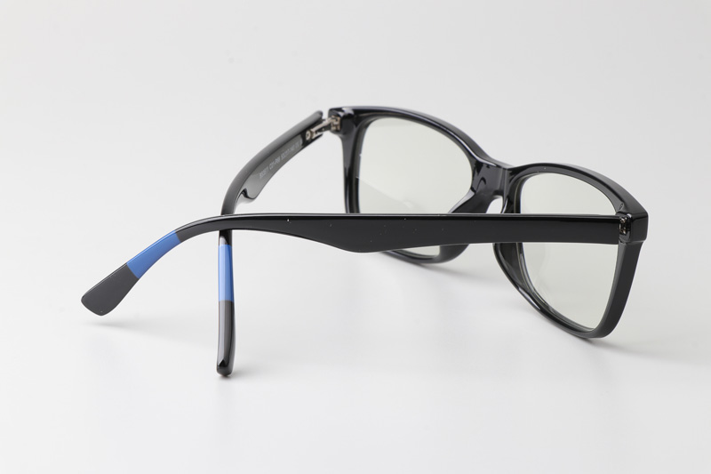 WT3511 Eyeglasses Black