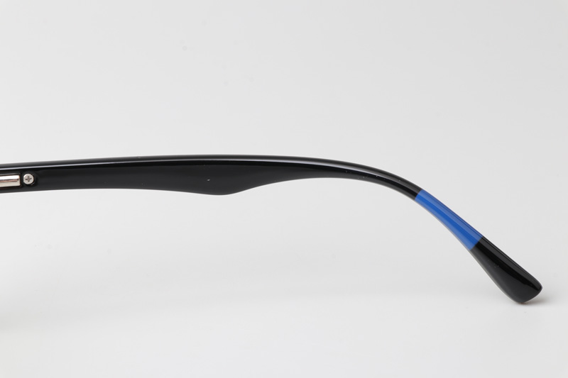 WT3511 Eyeglasses Black