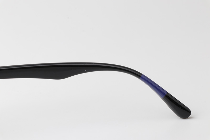 WT3511 Eyeglasses Gray Black