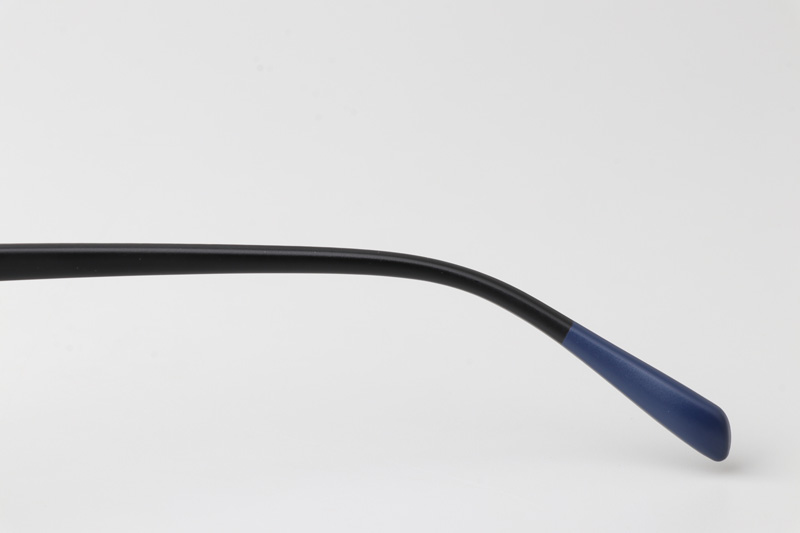 WT3512 Eyeglasses Black