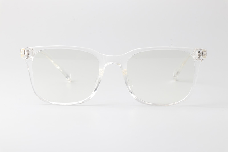 WT5025 Eyeglasses Transparent
