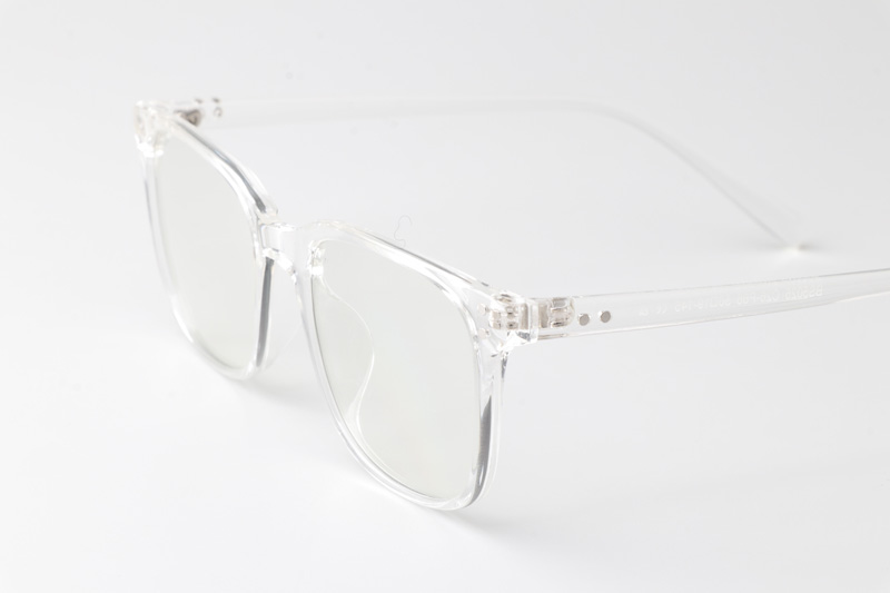 WT5025 Eyeglasses Transparent