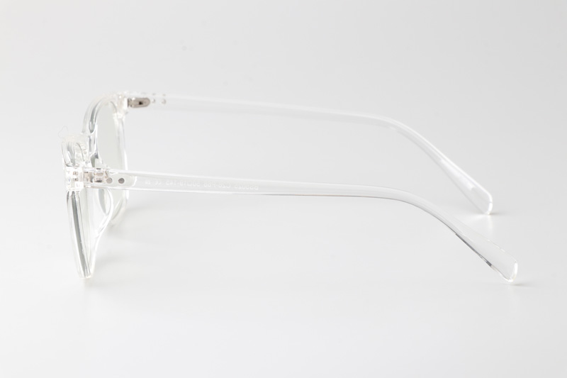 WT5025 Eyeglasses Transparent