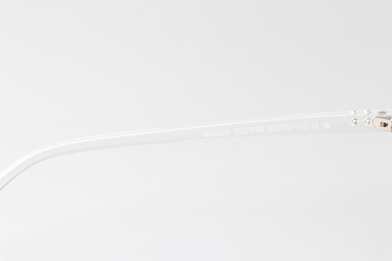 WT5025 Eyeglasses Transparent