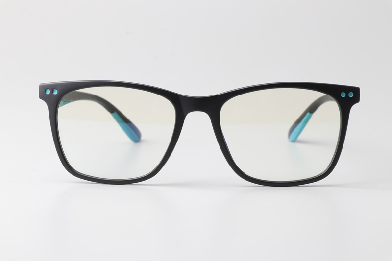 WT5103 Eyeglasses Matte Black