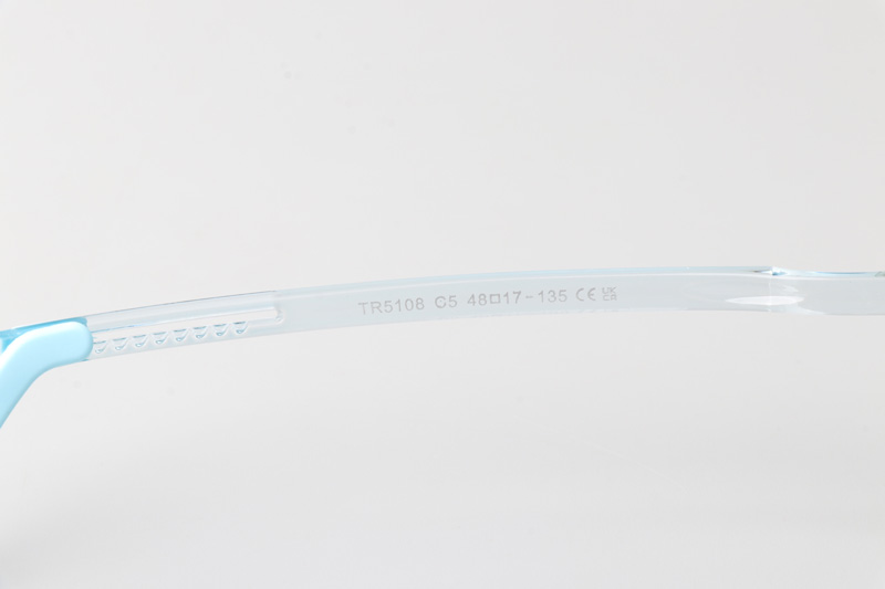 WT5108 Eyeglasses Transparent Blue
