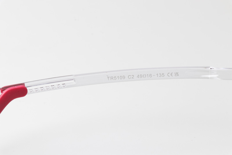 WT5109 Eyeglasses Transparent