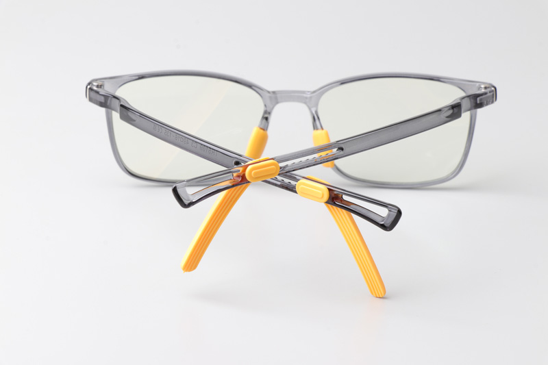 WT5109 Eyeglasses Transparent Gray